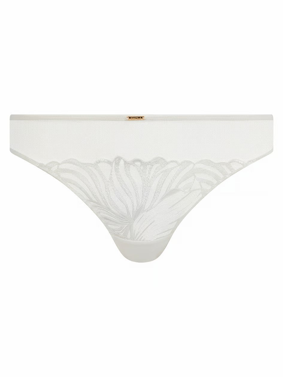 Legend Thong - Milk - Milk - 4